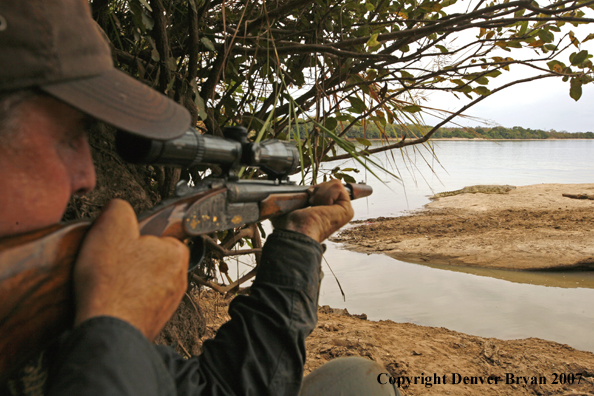 Hunter aiming at African crocodile