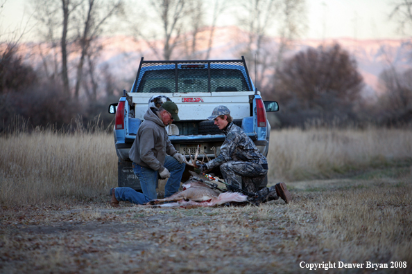 Bowhunter with Whitetail Deer