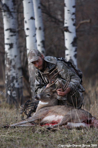 Bowhunter with bagged whitetail buck.