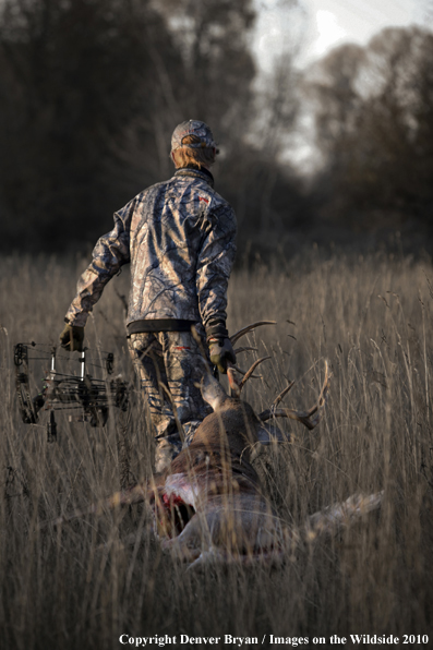 Bowhunter with Whitetail Deer (Original image # 11049-015.12D)