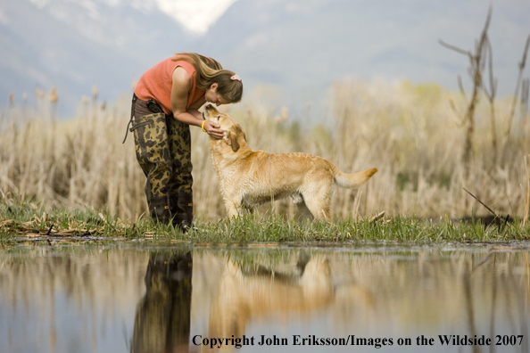 Yellow Labrador Retriever with Woman
