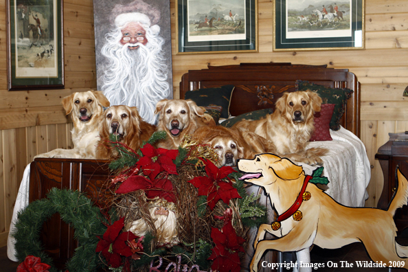 Christmas Golden Retrievers