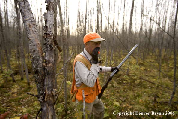 Upland bird hunter calling in woods