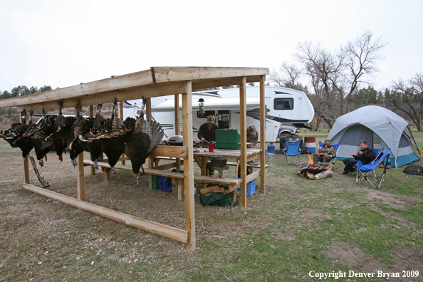 Hunters with bagged Merriam's turkeys