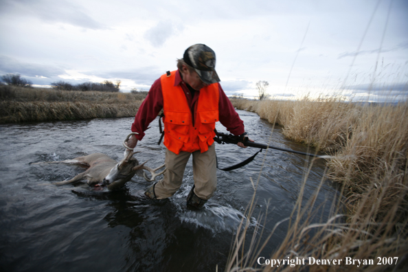 Hunter in field with bagged deer