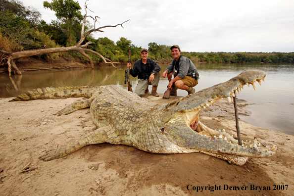 Hunter with bagged African crocodile