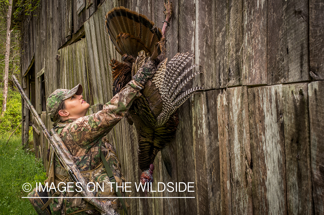 Woman hunter with bagged turkey.