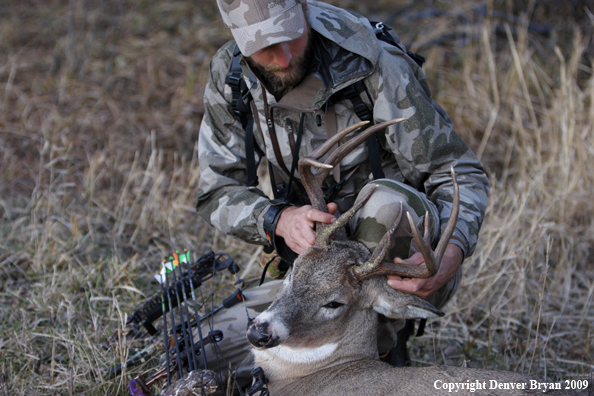 Bowhunter with bagged whitetail buck.