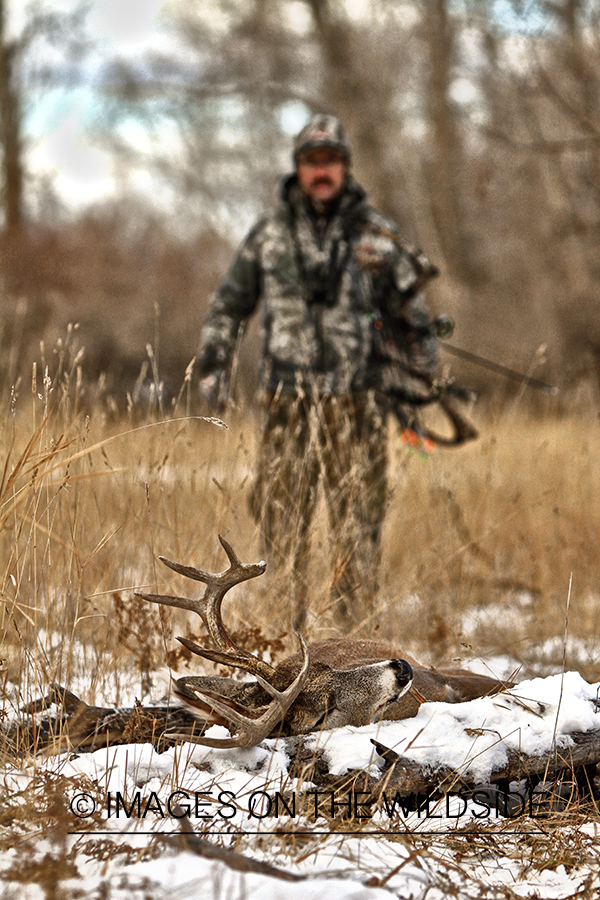 Bowhunter approaching downed white-tailed buck.