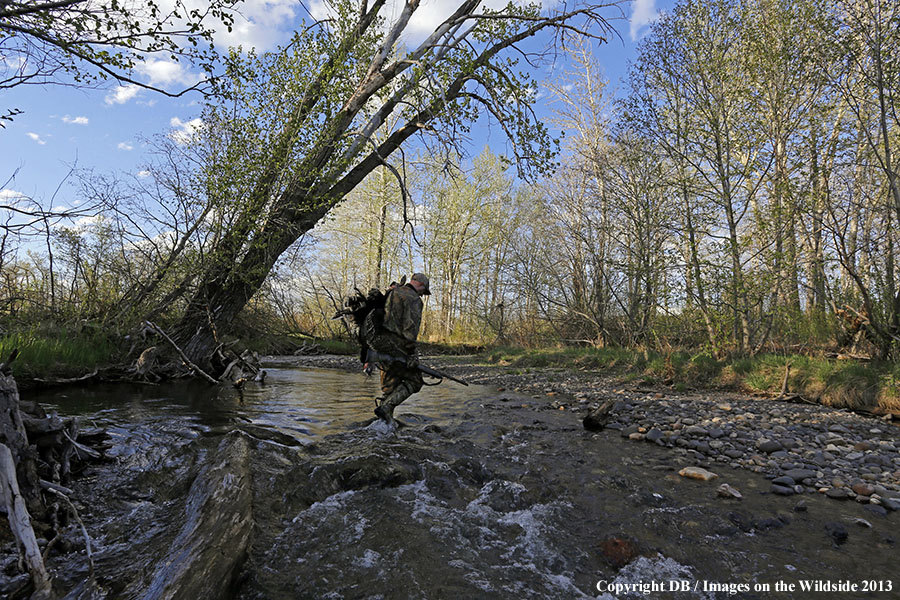 Turkey hunter in field with bagged turkey.