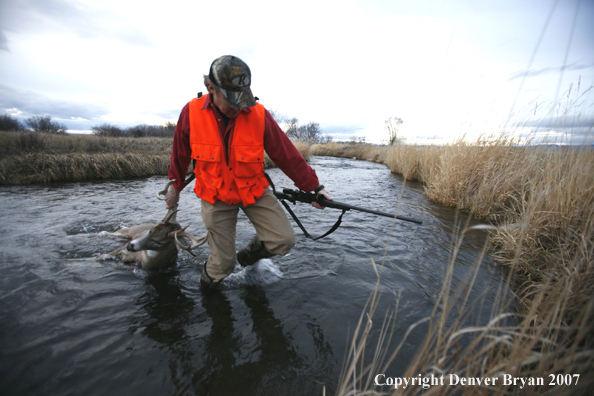 Hunter in field with bagged deer