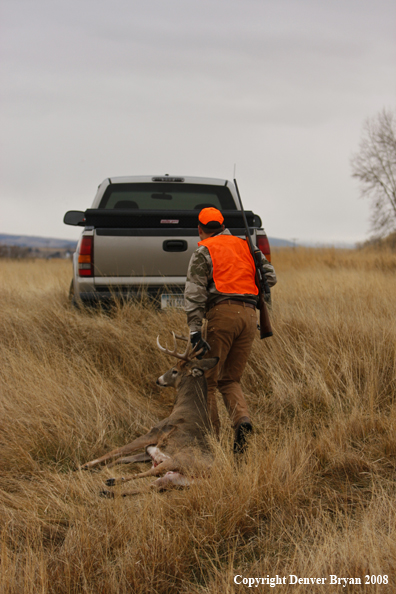 Hunter with Whitetail Deer