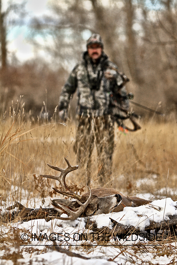 Bowhunter approaching downed white-tailed buck.