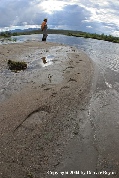 Flyfisherman on river.