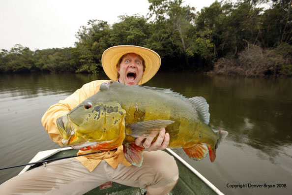 Flyfisherman with peacock bass