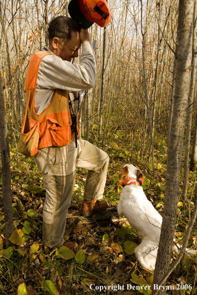 Upland bird hunter in field with dog.