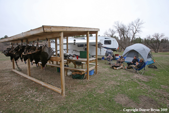 Hunters with bagged Merriam's turkeys