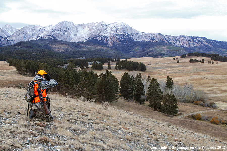 Hunter glassing for big game.