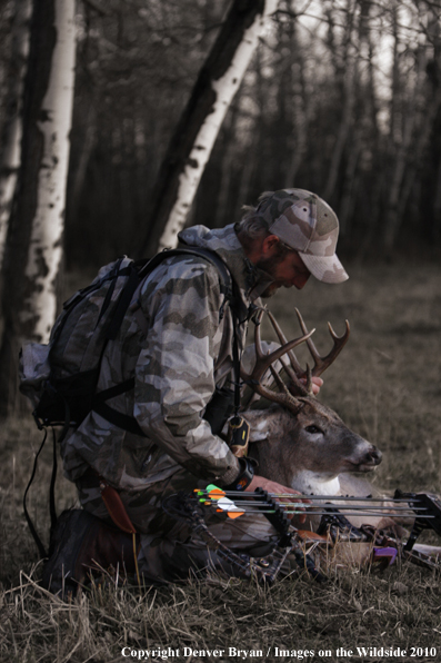Bowhunter with bagged whitetail buck. (Original image # 11049-016.56D)