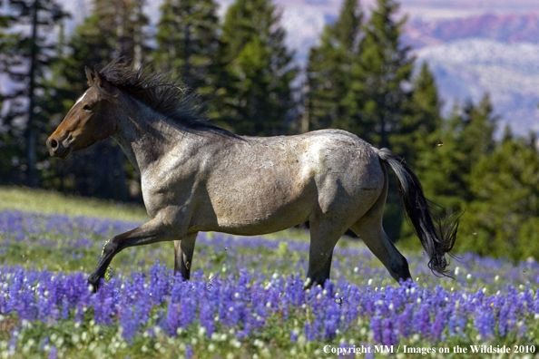 Photo taken by Mark Miller