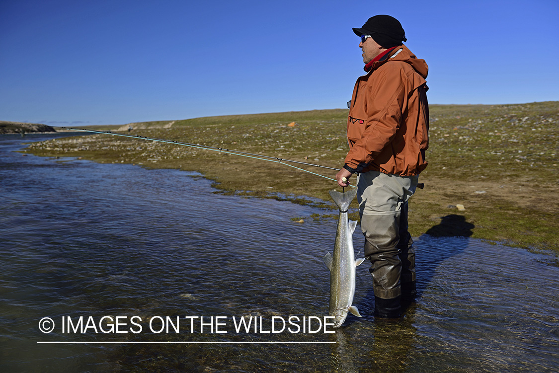 Flyfisherman with Arctic Char.