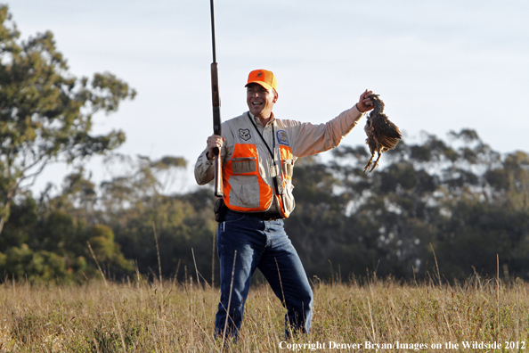 Upland game hunter with Erkel. 