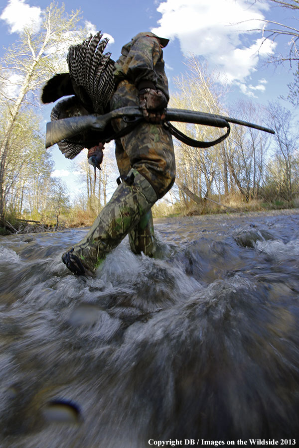 Turkey hunter in field with bagged turkey.