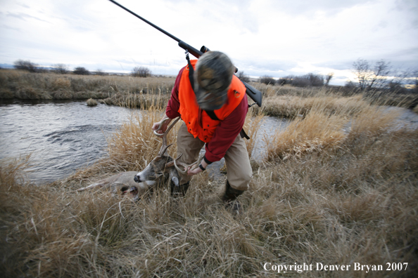 Hunter in field with bagged deer