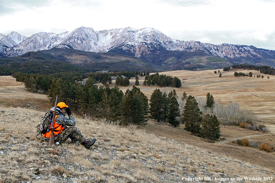 Hunter glassing for big game.