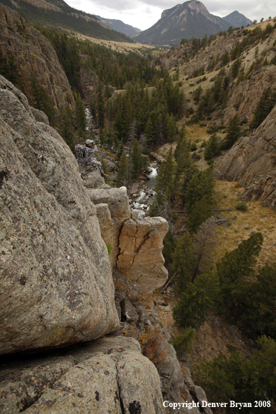 Bow Hunter Scouting For Big Game