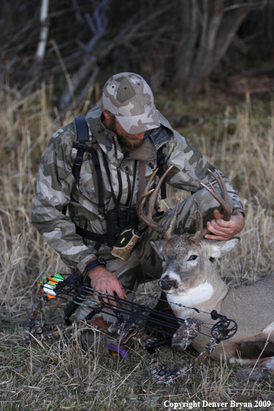 Bowhunter with bagged whitetail buck.