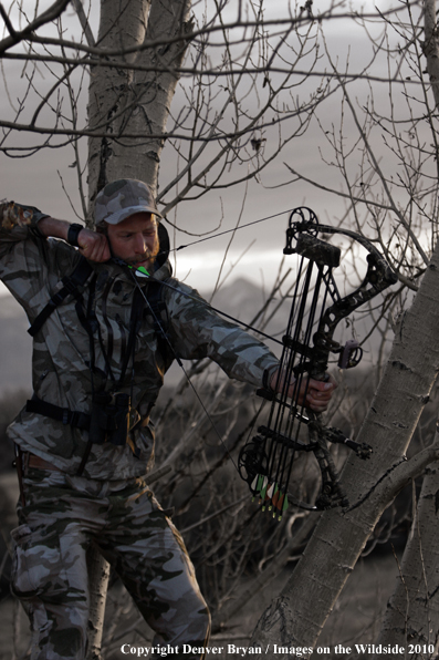 Bowhunter aiming bow from tree stand. (Original image # 11049-016.95D)