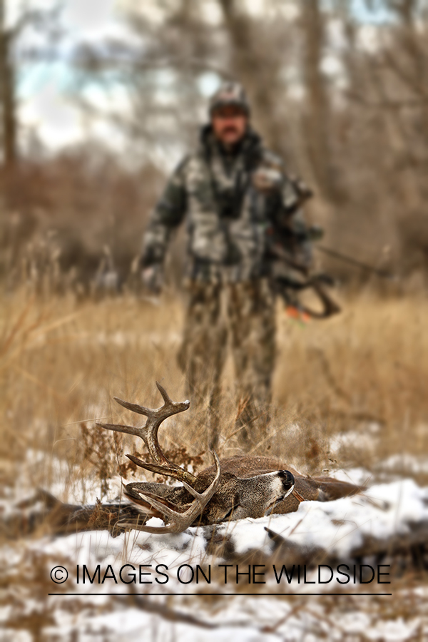 Bowhunter approaching downed white-tailed buck.