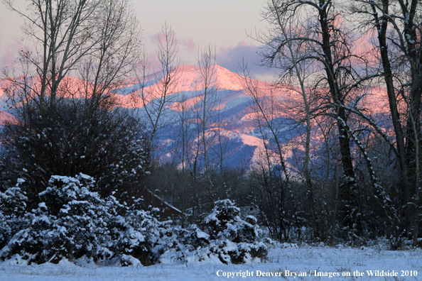 Winter view of the Bridger Mountains. 