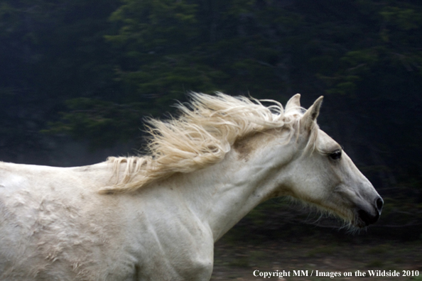 Photo taken by Mark Miller