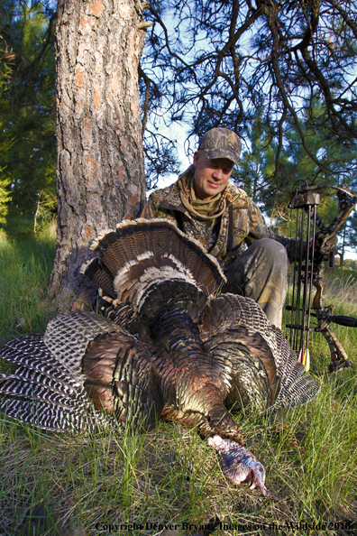 Hunter with bagged (Merriam's) turkey