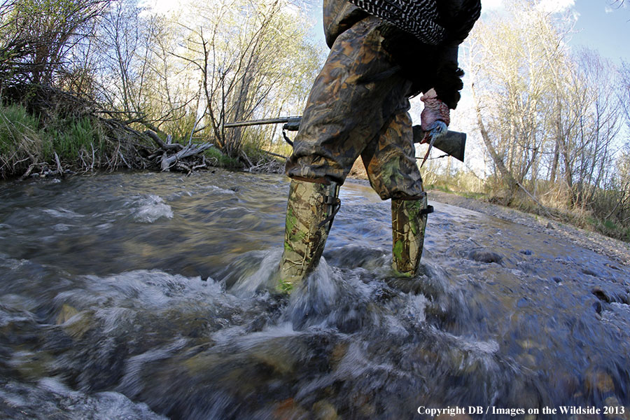 Turkey hunter in field with bagged turkey.