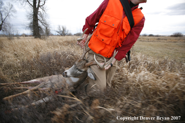Hunter in field with bagged deer