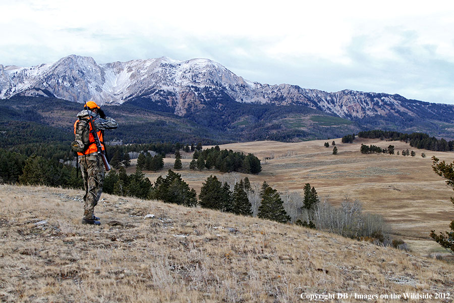 Hunter glassing for big game.