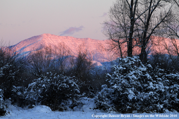 Winter view of the Bridger Mountains. 