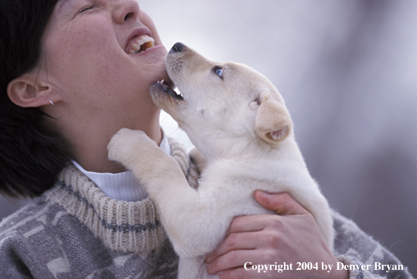 Woman with yellow Labrador Retriever puppy