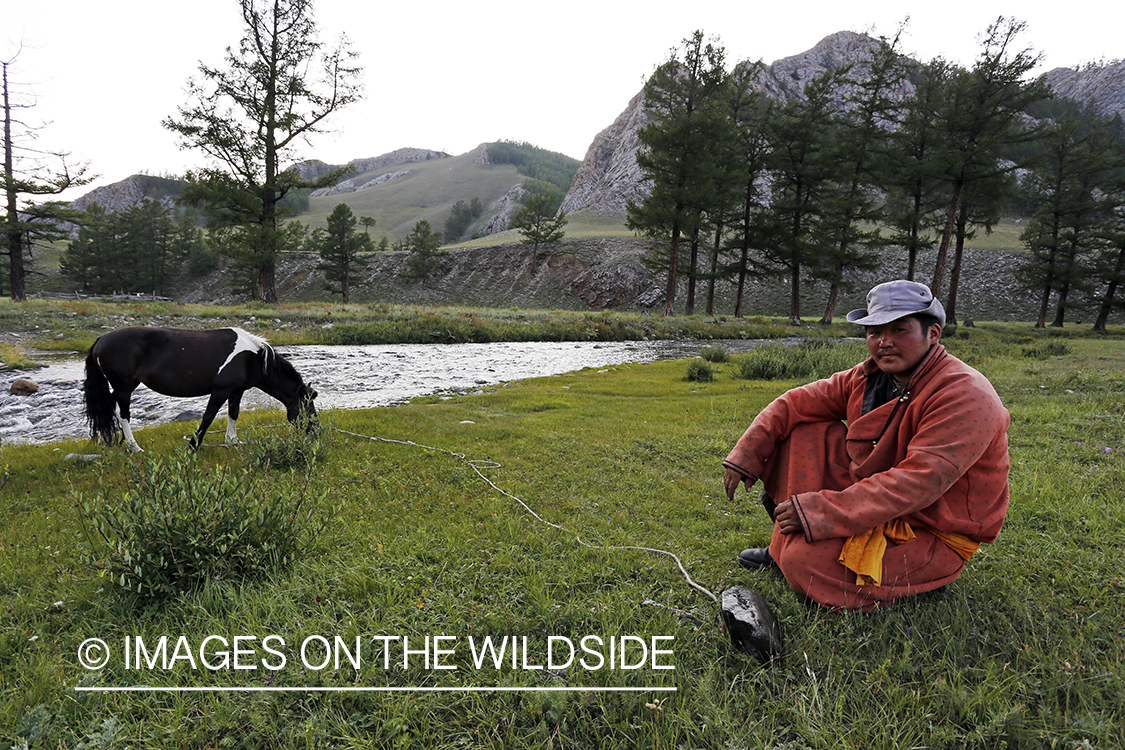 Rural mongolian man with horse.