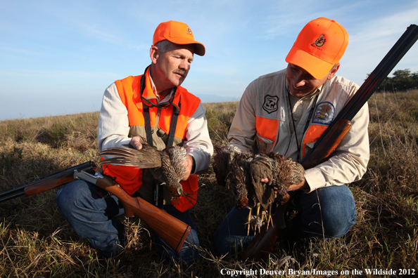 Upland game hunters with Erkels.