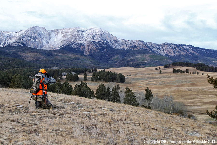 Hunter glassing for big game.