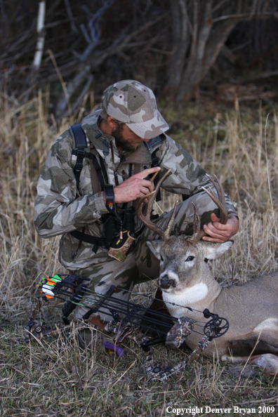 Bowhunter with bagged whitetail buck.
