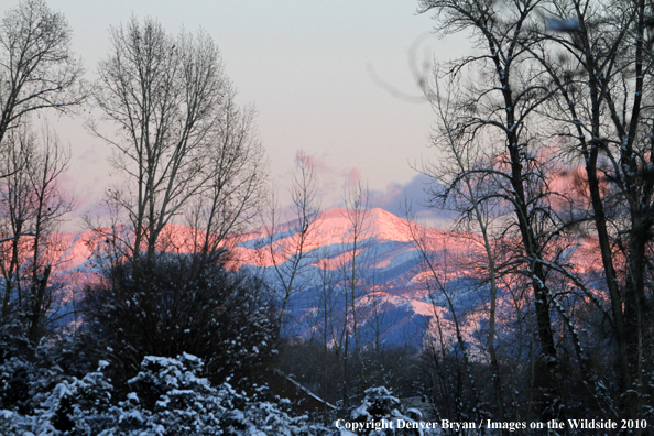 Winter view of the Bridger Mountains. 