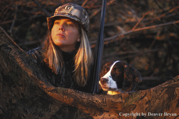 Upland game bird hunter with English Springer Spaniel.