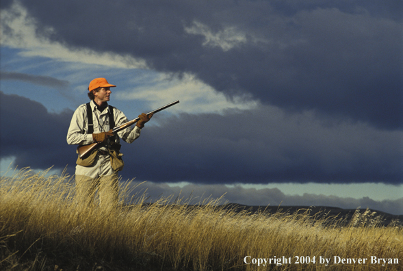 Upland bird hunter.