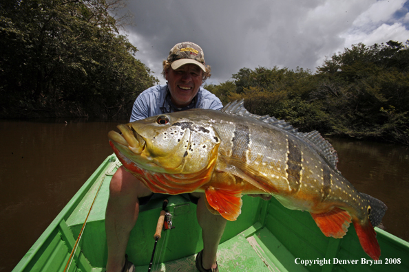 Flyfisherman with large peacock bass