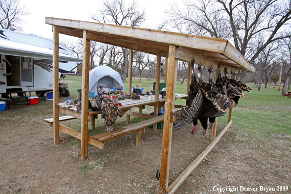 Hunters with bagged Merriam's turkeys